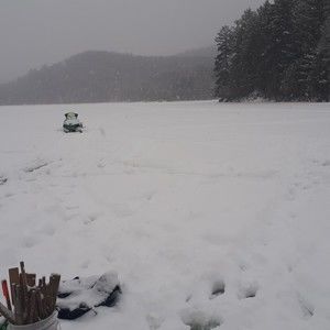 Meet your Posher, Alicia